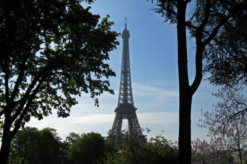 The Eiffel Tower in Paris